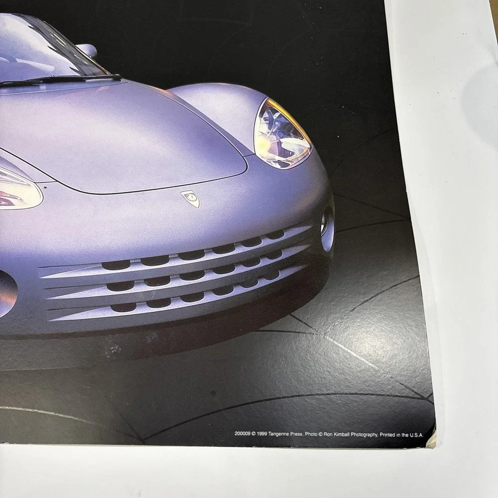 1999 Ron Kimball Spyder Photo Print Poster with Web Background. Rare 24x18